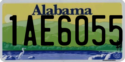 AL license plate 1AE6055