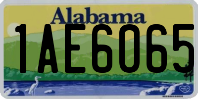 AL license plate 1AE6065