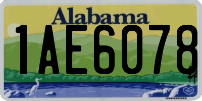 AL license plate 1AE6078