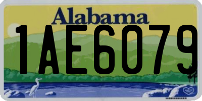 AL license plate 1AE6079