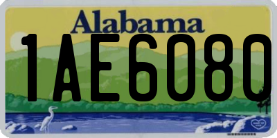 AL license plate 1AE6080