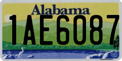 AL license plate 1AE6087