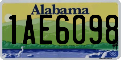 AL license plate 1AE6098