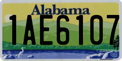 AL license plate 1AE6107