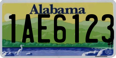AL license plate 1AE6123