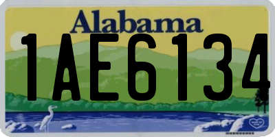 AL license plate 1AE6134