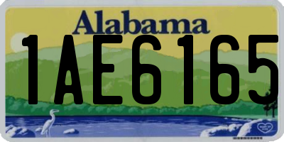 AL license plate 1AE6165