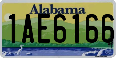 AL license plate 1AE6166