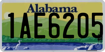 AL license plate 1AE6205