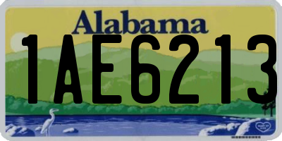 AL license plate 1AE6213