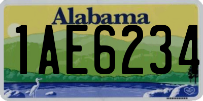 AL license plate 1AE6234