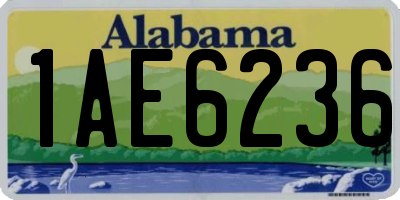 AL license plate 1AE6236