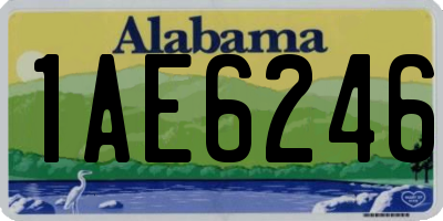 AL license plate 1AE6246
