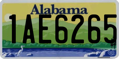 AL license plate 1AE6265