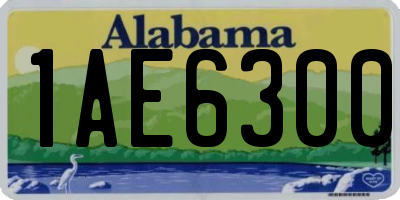 AL license plate 1AE6300