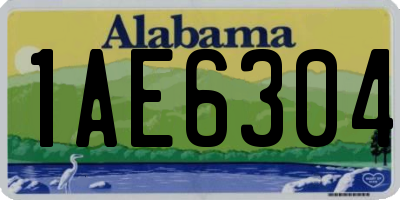 AL license plate 1AE6304