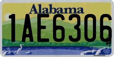 AL license plate 1AE6306