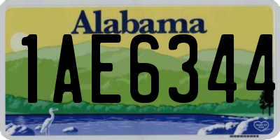 AL license plate 1AE6344