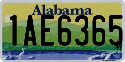AL license plate 1AE6365