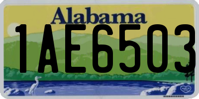 AL license plate 1AE6503