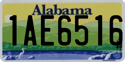 AL license plate 1AE6516