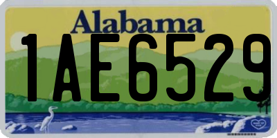 AL license plate 1AE6529