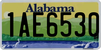 AL license plate 1AE6530