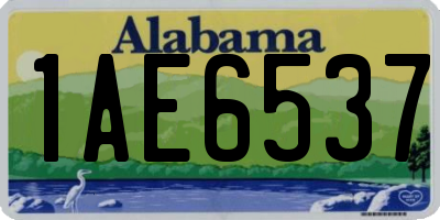 AL license plate 1AE6537