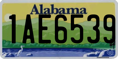 AL license plate 1AE6539