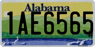 AL license plate 1AE6565