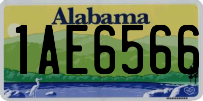 AL license plate 1AE6566