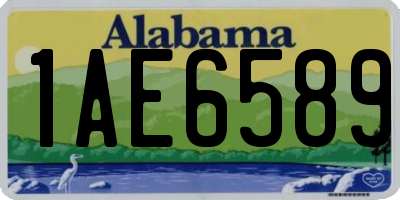 AL license plate 1AE6589