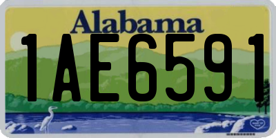 AL license plate 1AE6591