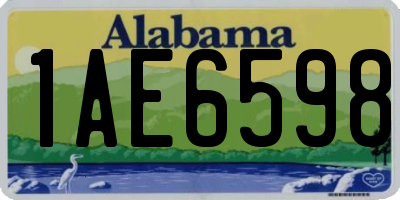 AL license plate 1AE6598