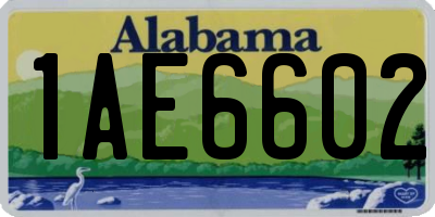 AL license plate 1AE6602