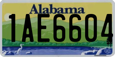 AL license plate 1AE6604
