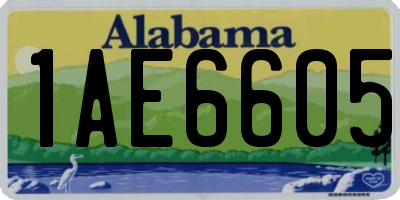 AL license plate 1AE6605