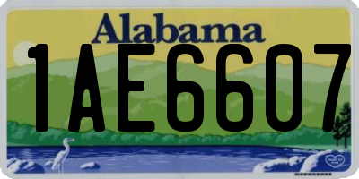 AL license plate 1AE6607