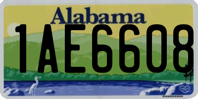 AL license plate 1AE6608
