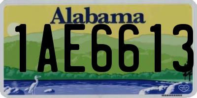 AL license plate 1AE6613
