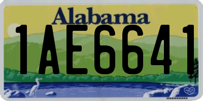 AL license plate 1AE6641