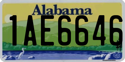 AL license plate 1AE6646