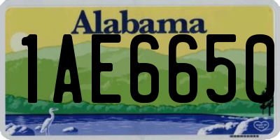 AL license plate 1AE6650