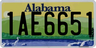 AL license plate 1AE6651