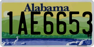 AL license plate 1AE6653