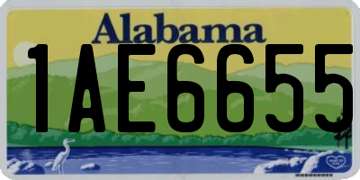 AL license plate 1AE6655