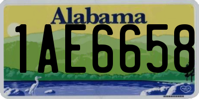 AL license plate 1AE6658