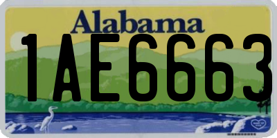 AL license plate 1AE6663