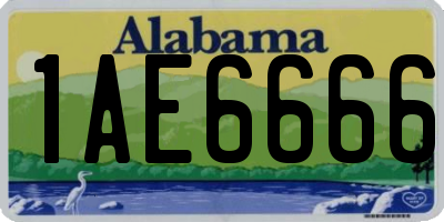 AL license plate 1AE6666