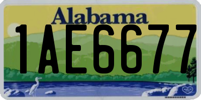 AL license plate 1AE6677